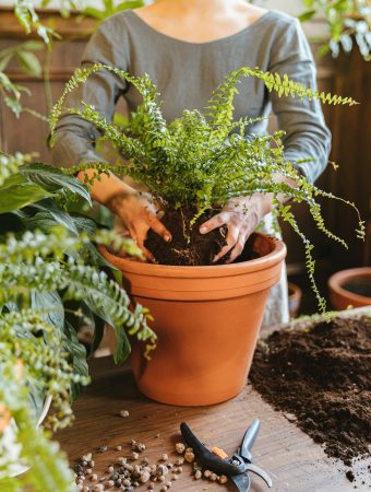 DIY Planter Ideas