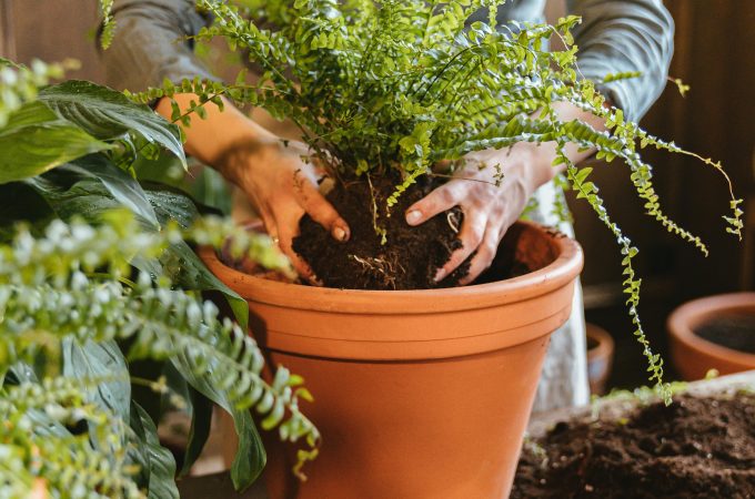 DIY Planter Ideas
