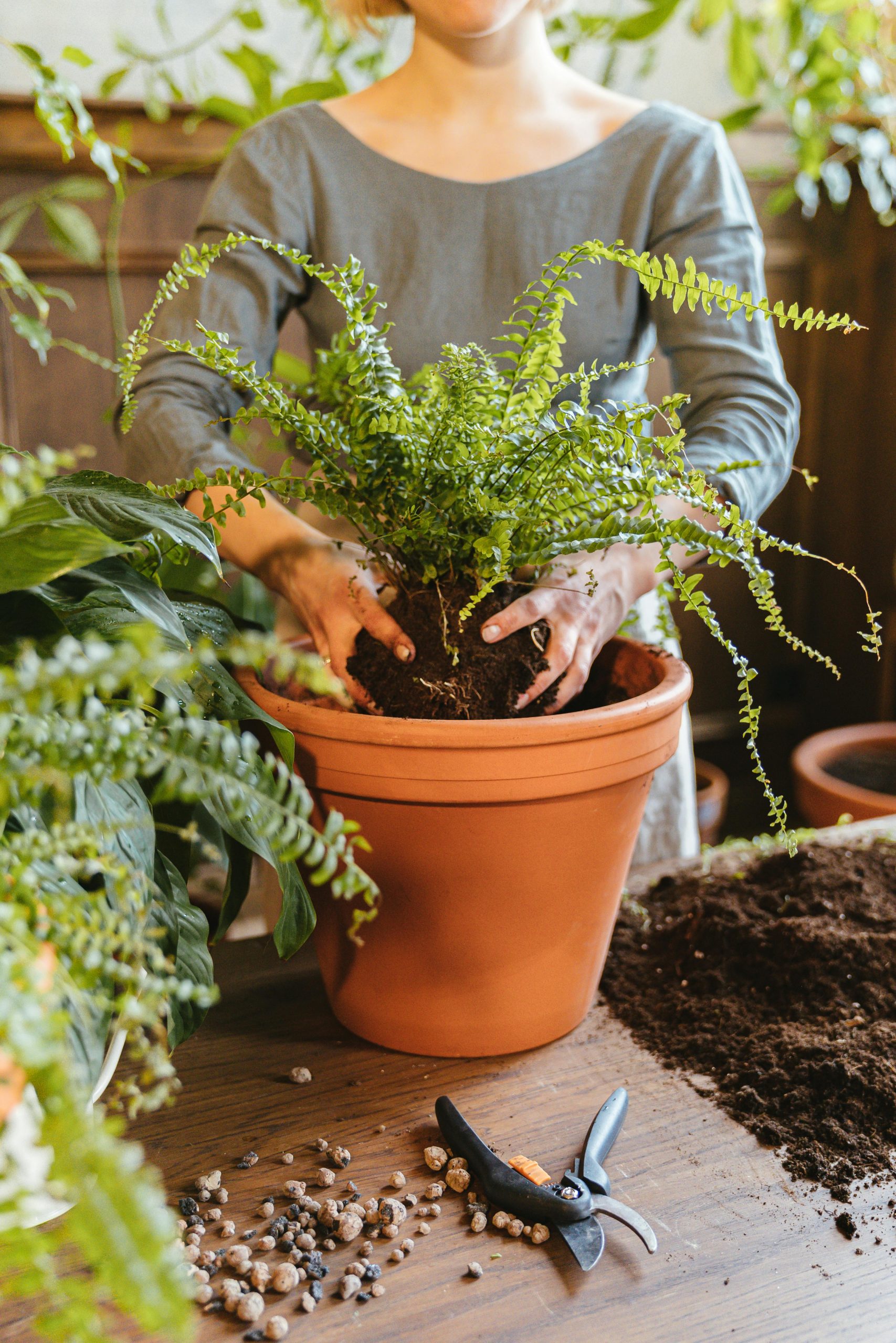DIY Planter Ideas