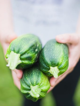 the easiest vegetables to grow