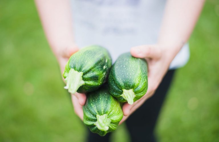 the easiest vegetables to grow