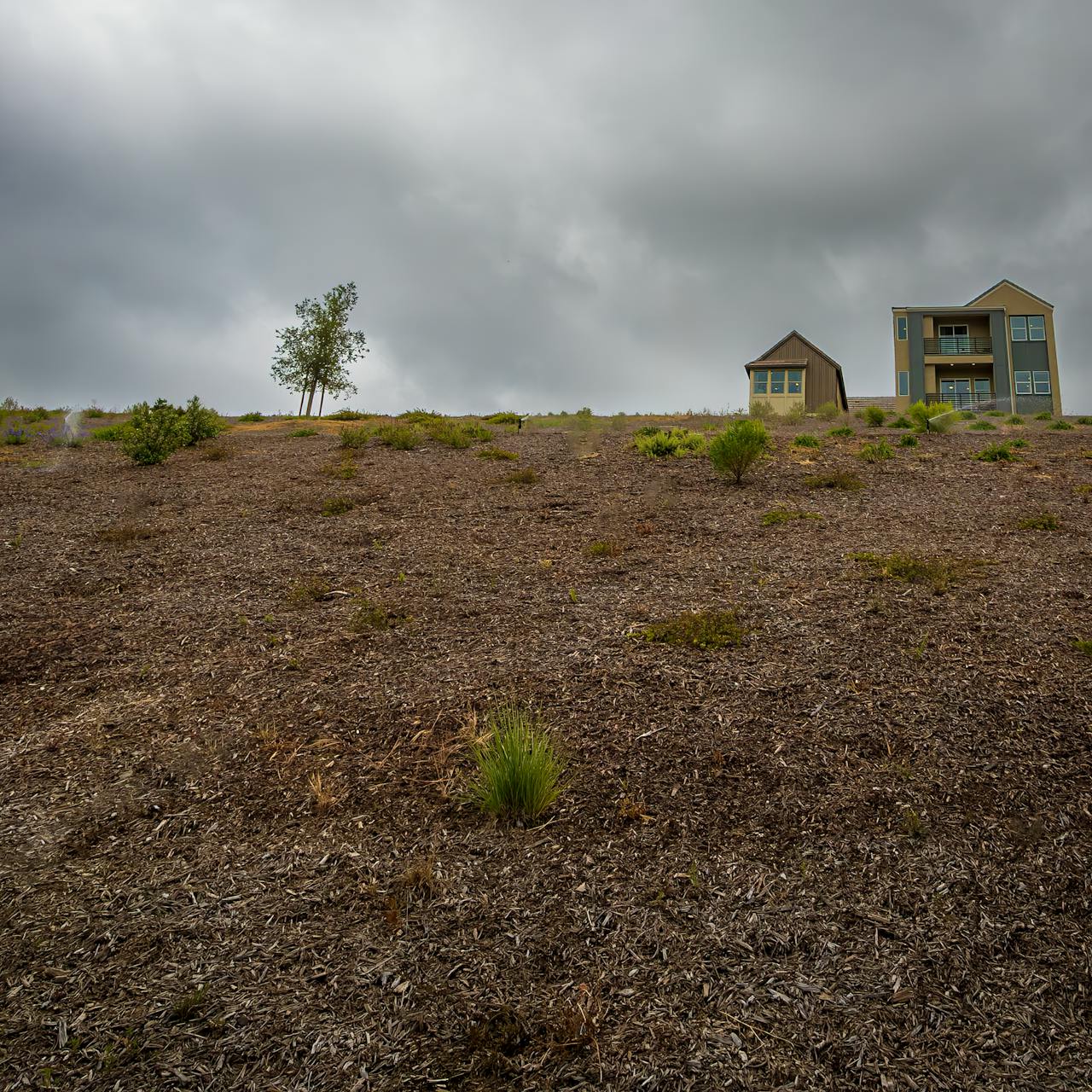 slope damaging a bakyard