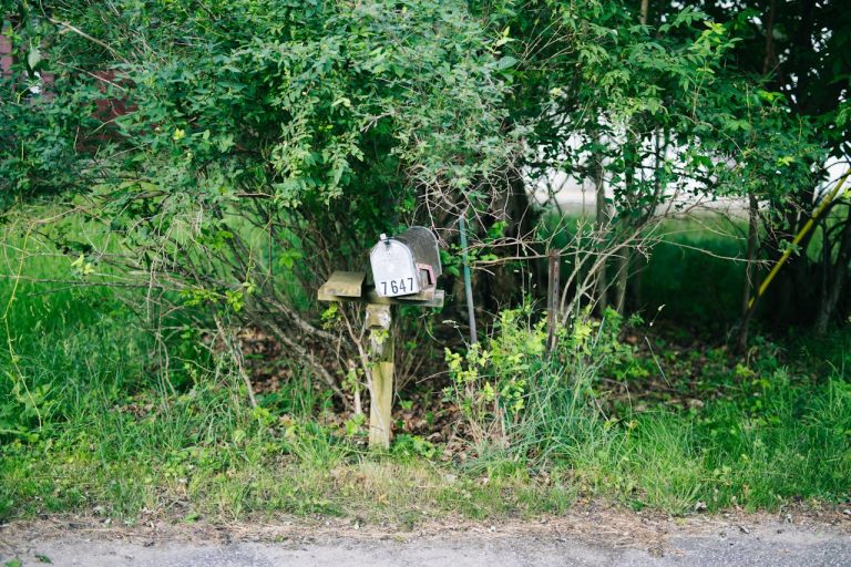 outdoor mistakes that could trigger a property fine