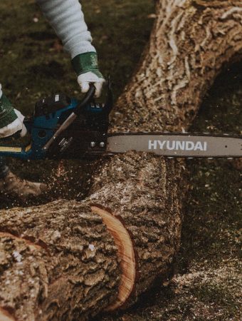 Backyard mistakes that can trigger lawsuits