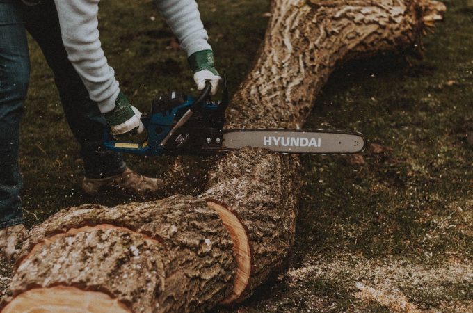 Backyard mistakes that can trigger lawsuits