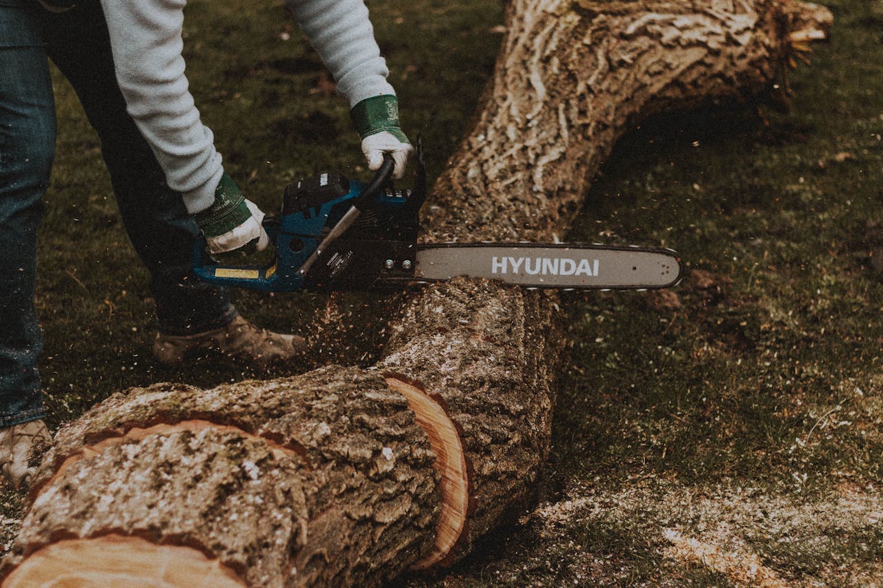Backyard mistakes that can trigger lawsuits