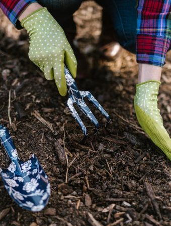 dangerous mulch