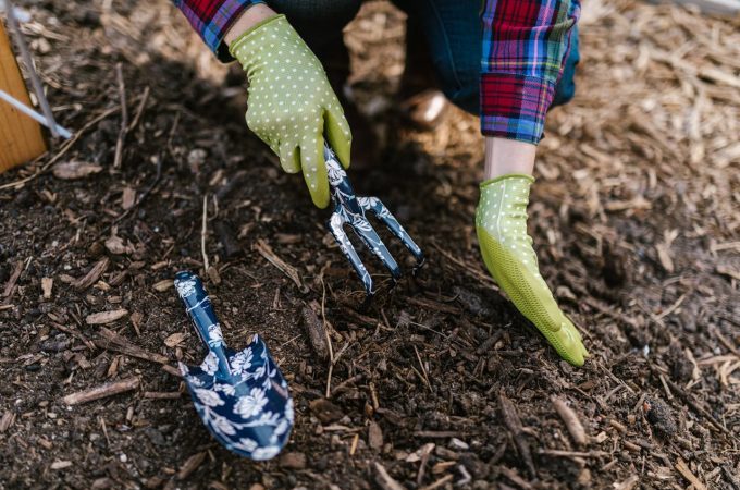 dangerous mulch