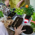 usda free seeds website