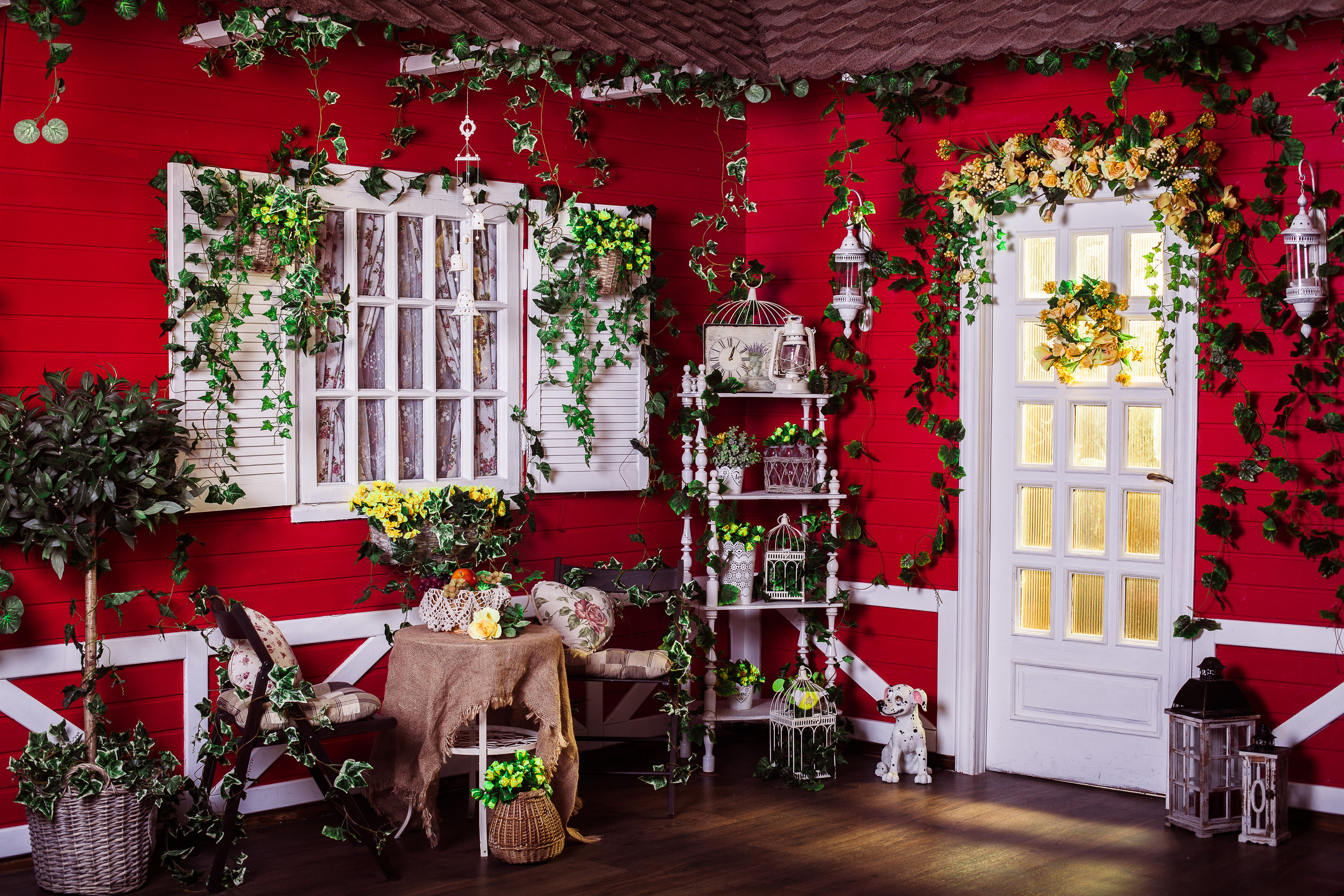 climbing plants on house