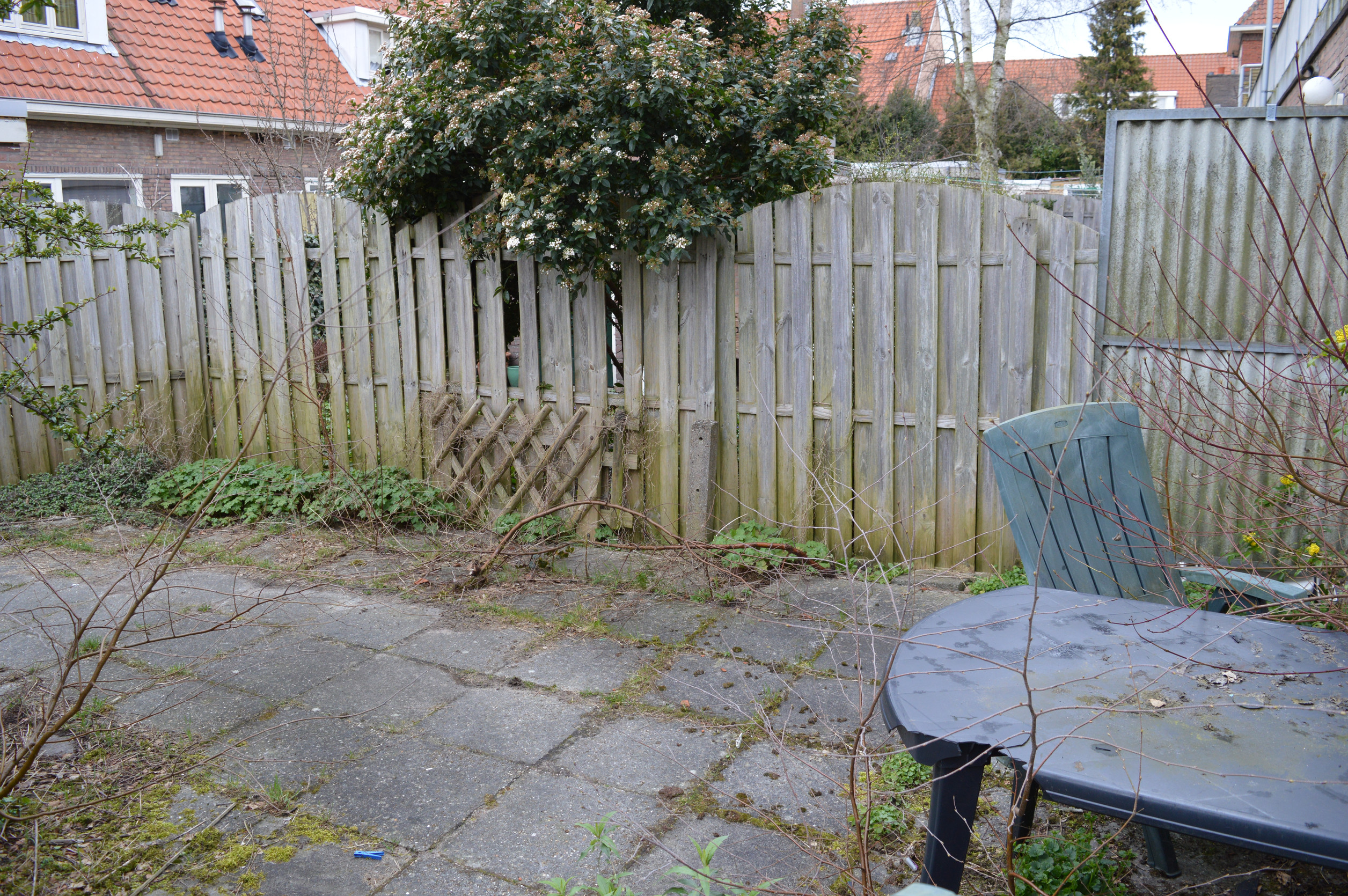 Things growing in your yard that could get you sued.