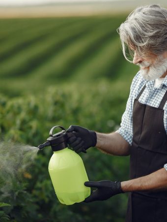 harmful garden chemicals