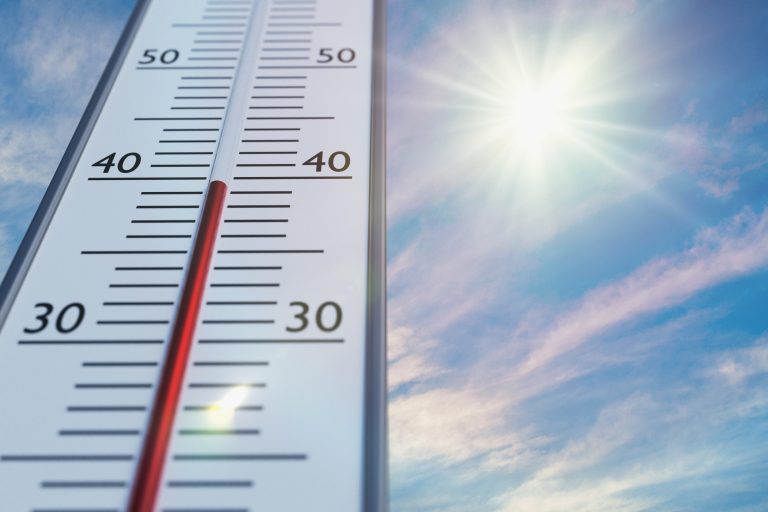 You can keep your garden thriving during a heatwave.
