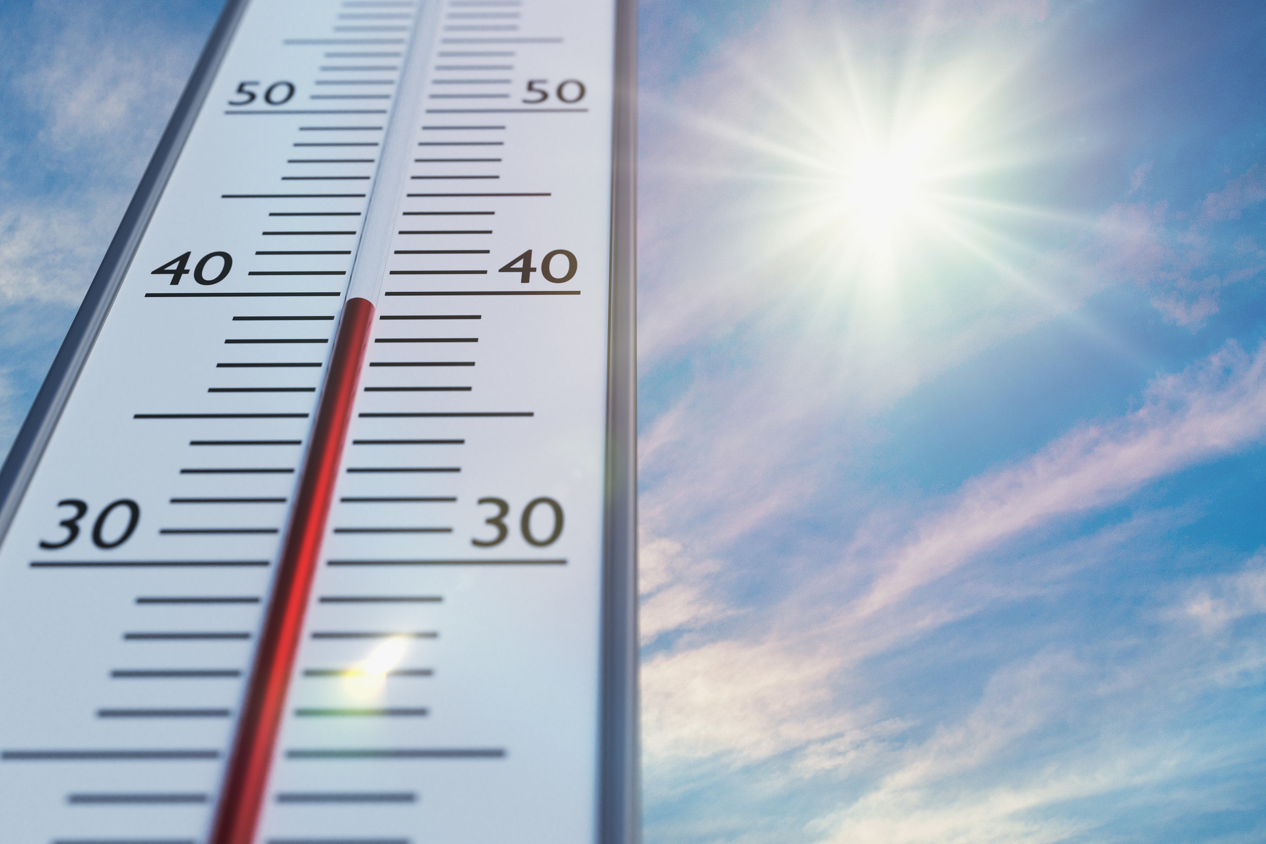 You can keep your garden thriving during a heatwave.