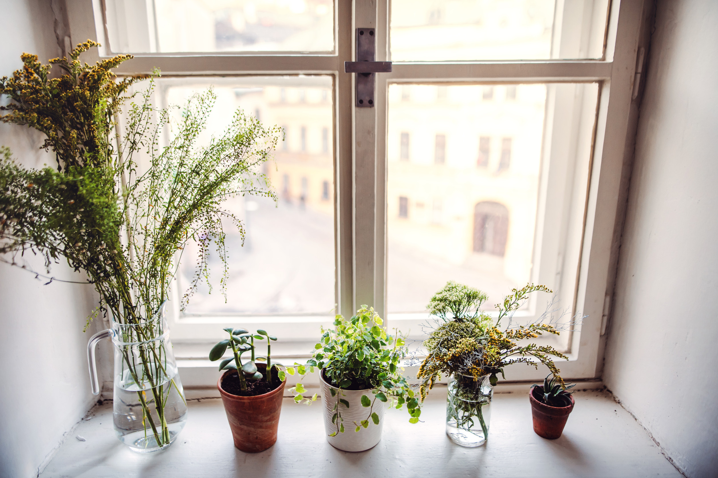 There are ways to garden without a backyard. 