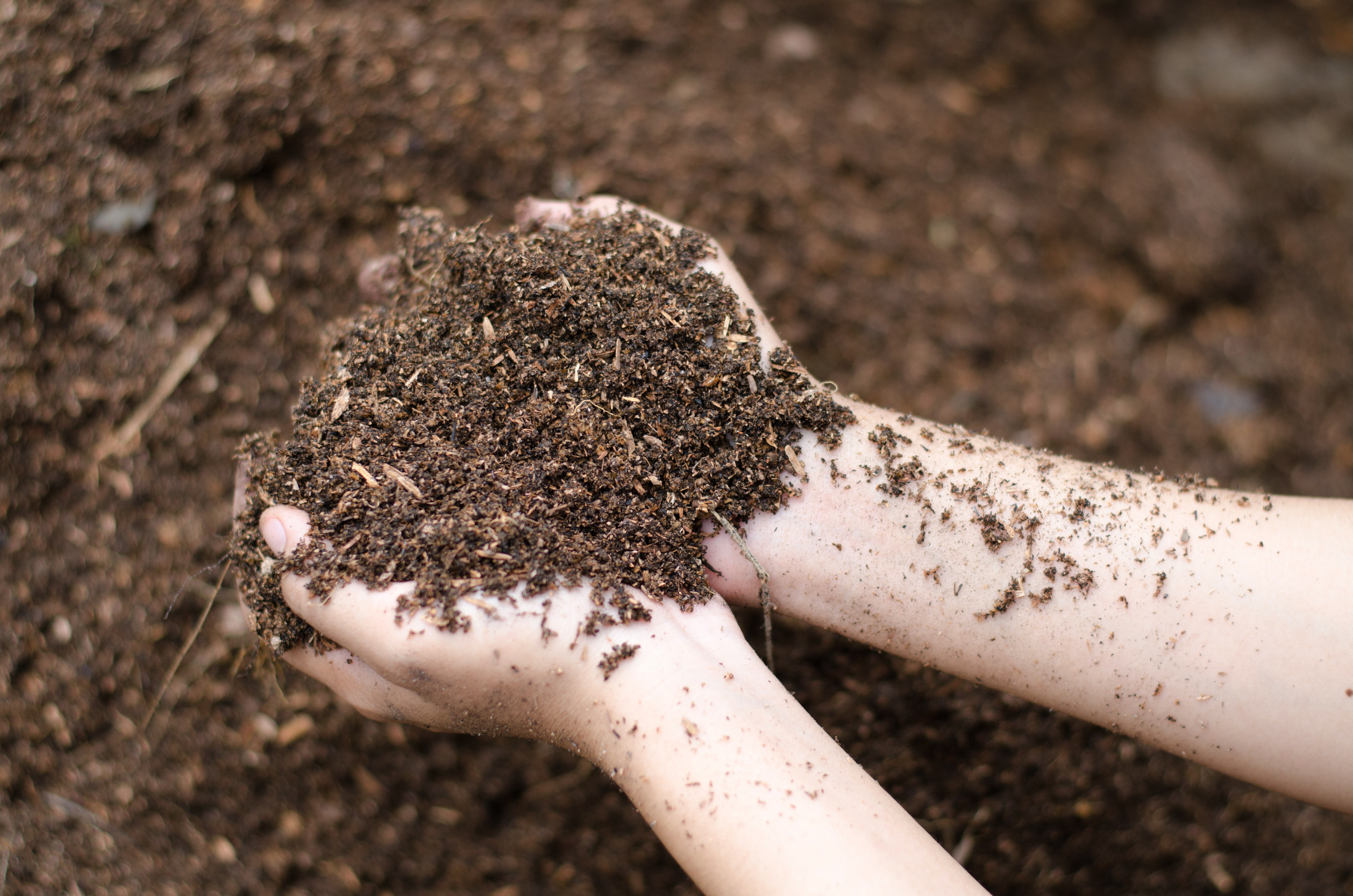 Your garden soil might currently be too rich