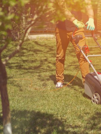 Here is why your garden hates you wafter you mow the lawn.