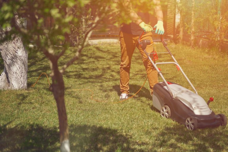 Here is why your garden hates you wafter you mow the lawn.