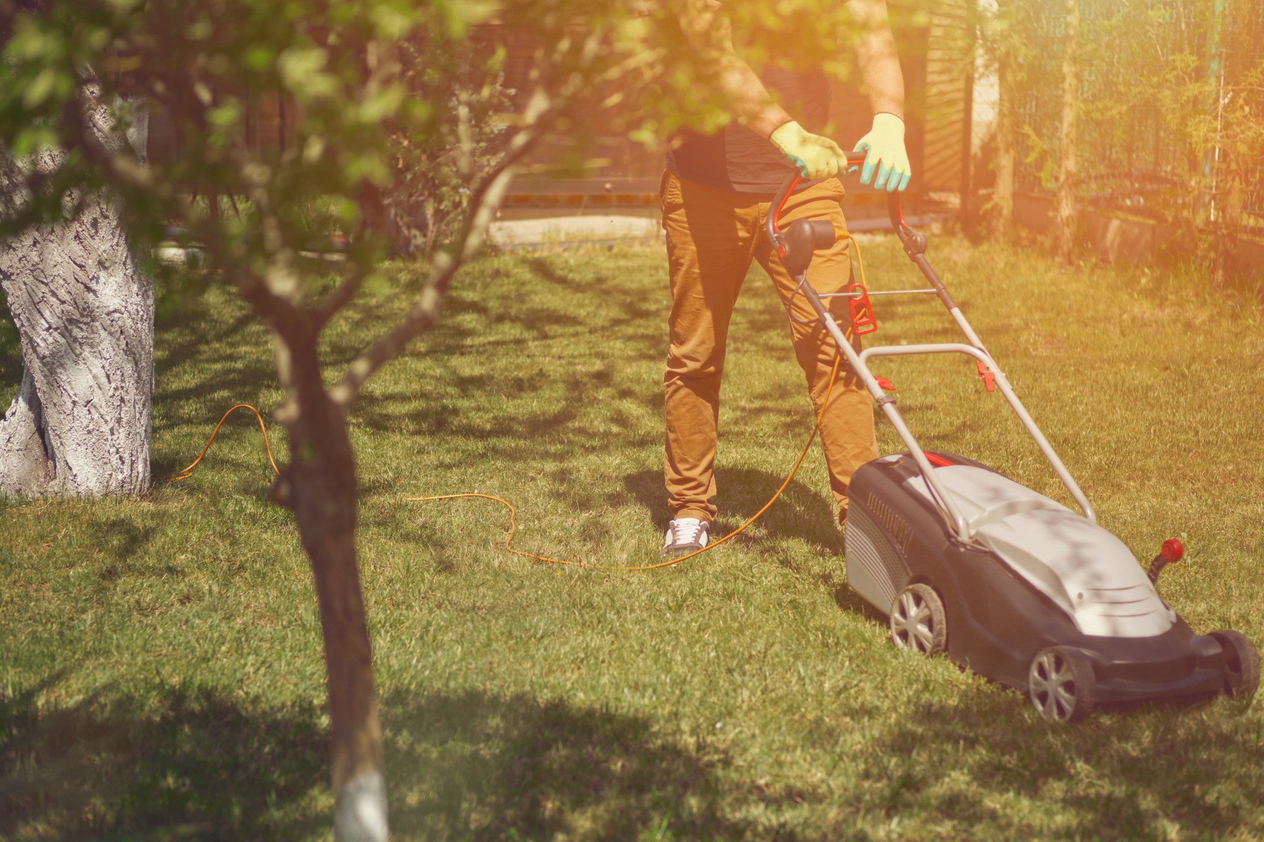 Here is why your garden hates you wafter you mow the lawn.