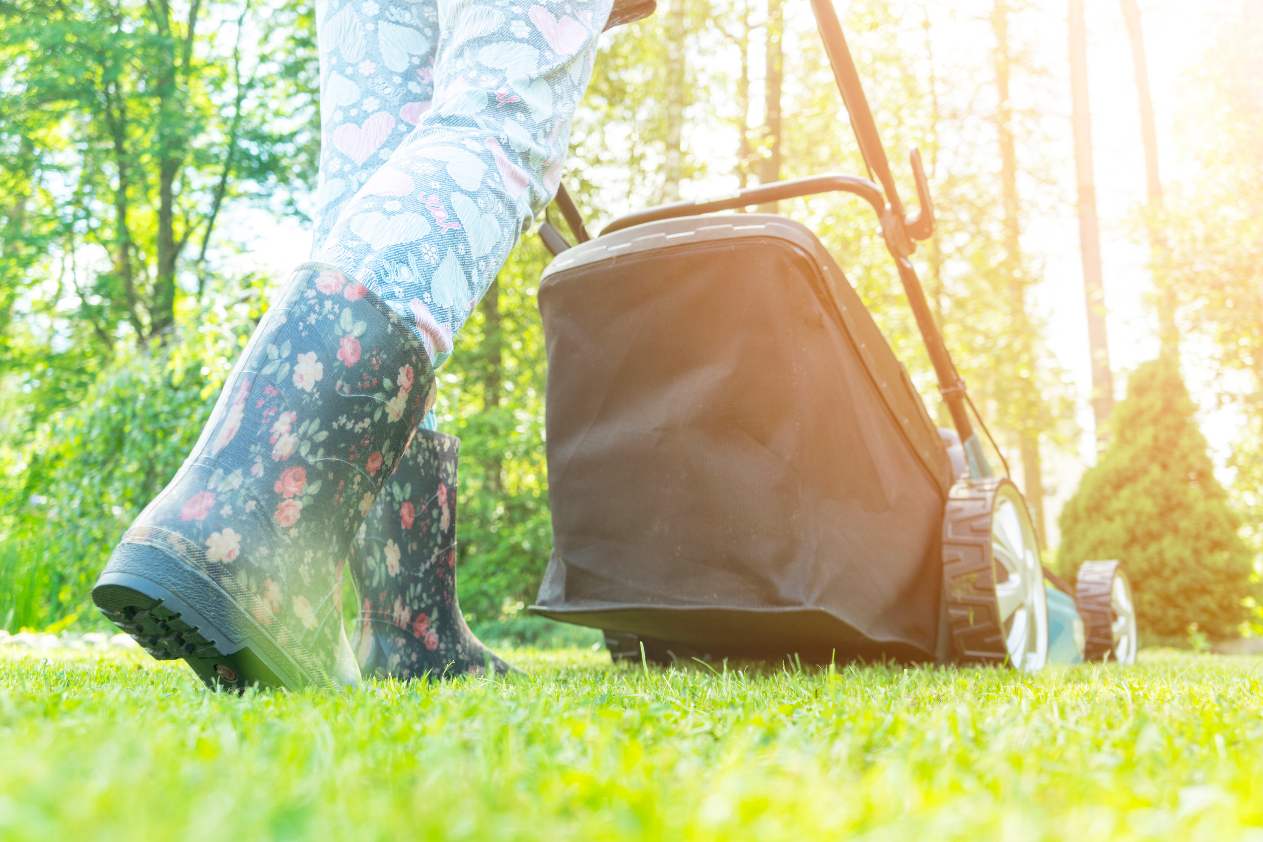 Here is why your garden hates you wafter you mow the lawn.