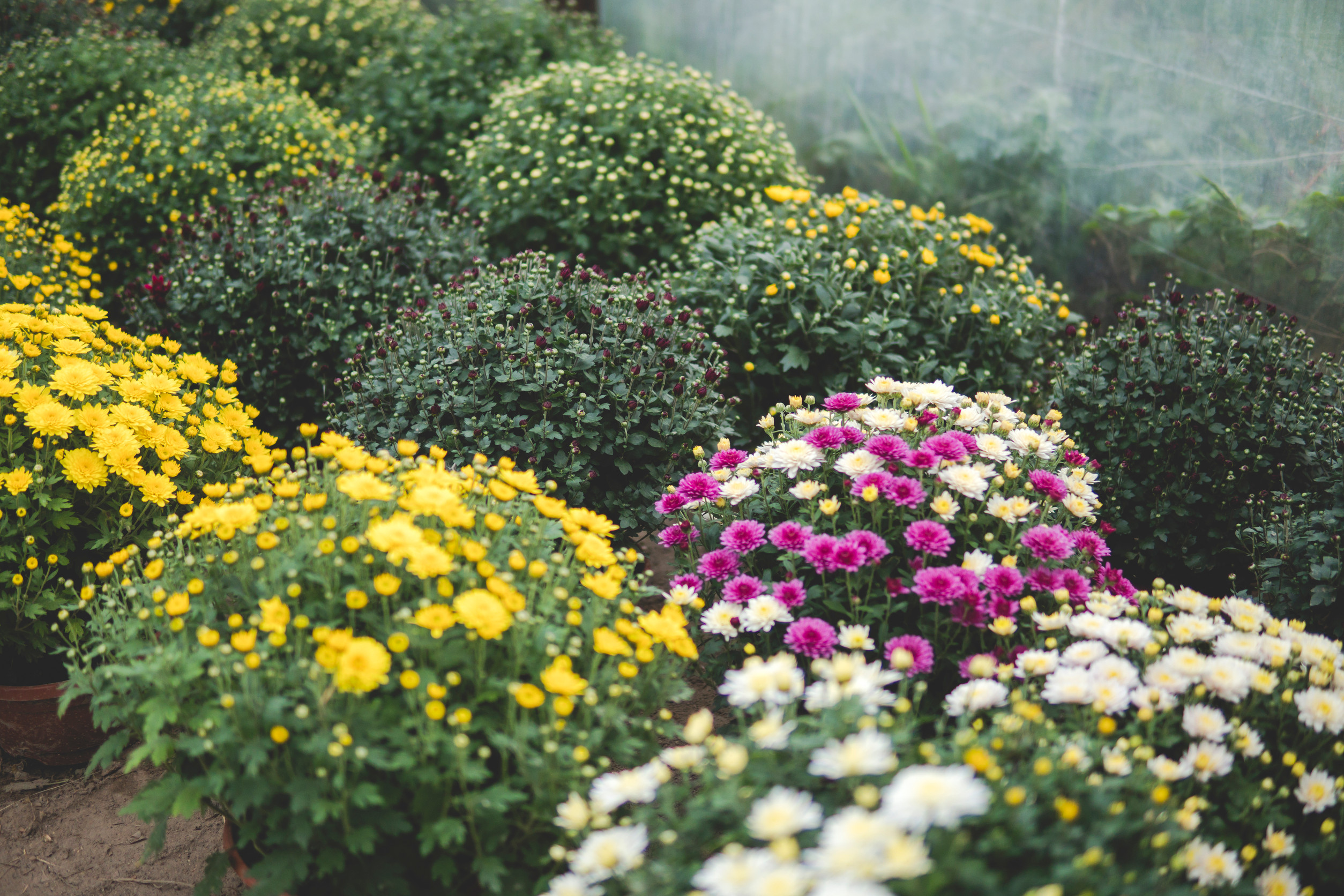 Here is the best time of day to water plants, and why most people get it wrong. 