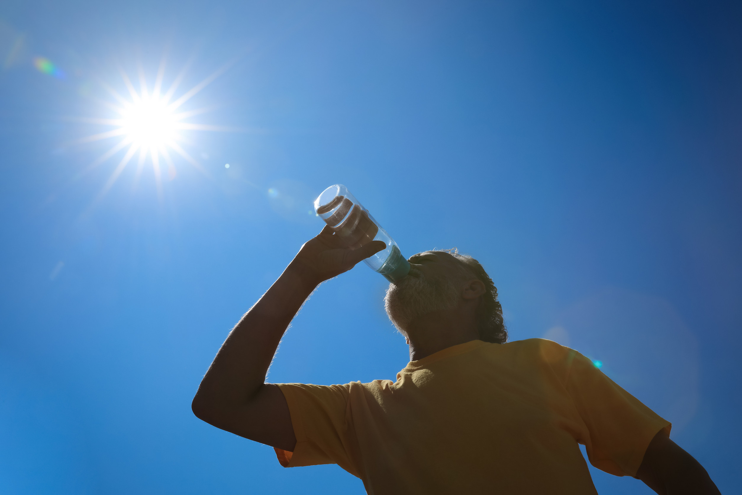 You can keep your garden thriving during a heatwave.
