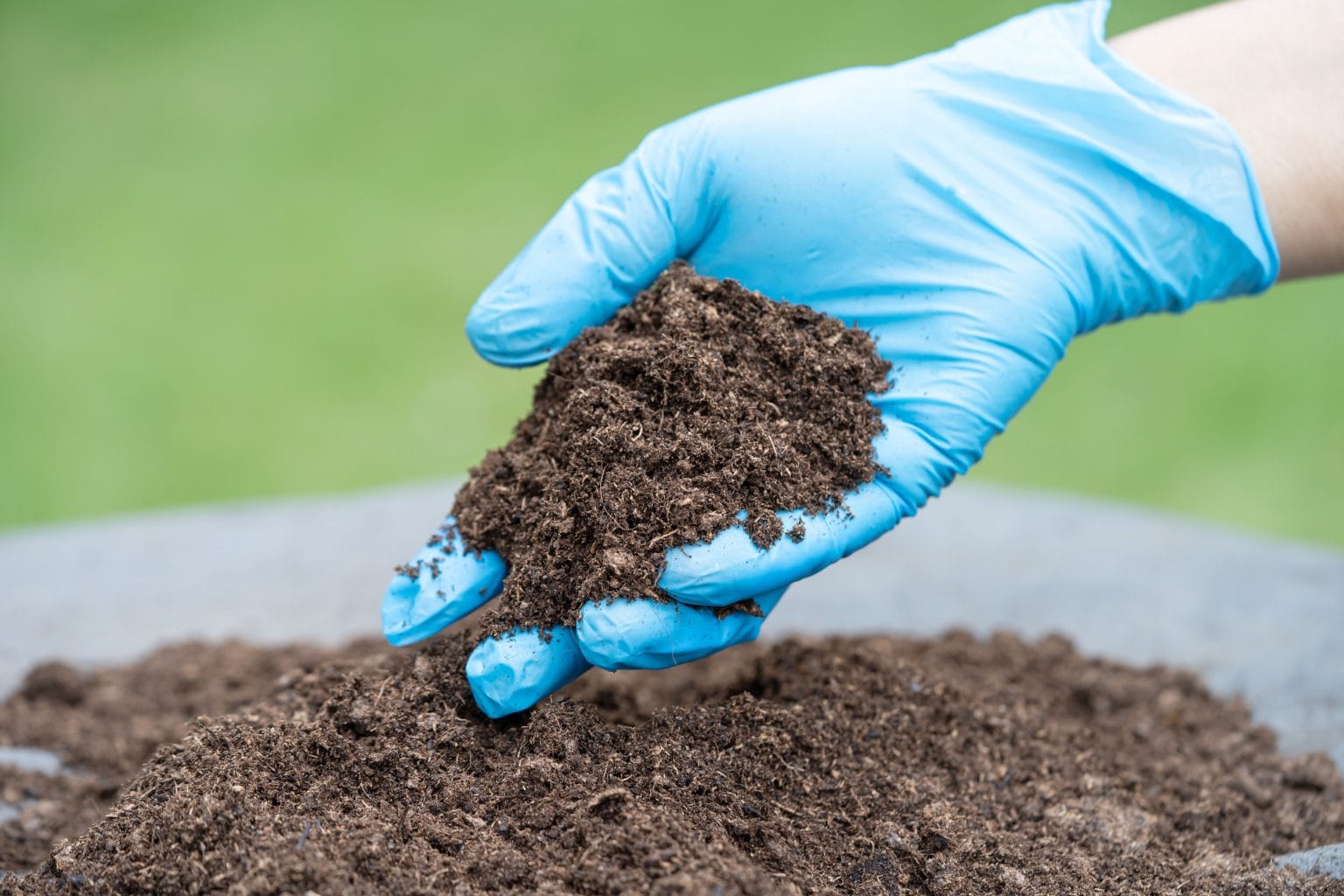 The One Thing You Should Always Do Before Planting Anything