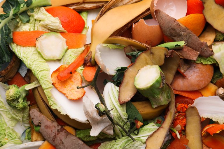 You can use grocery scraps to grow a second harvest.