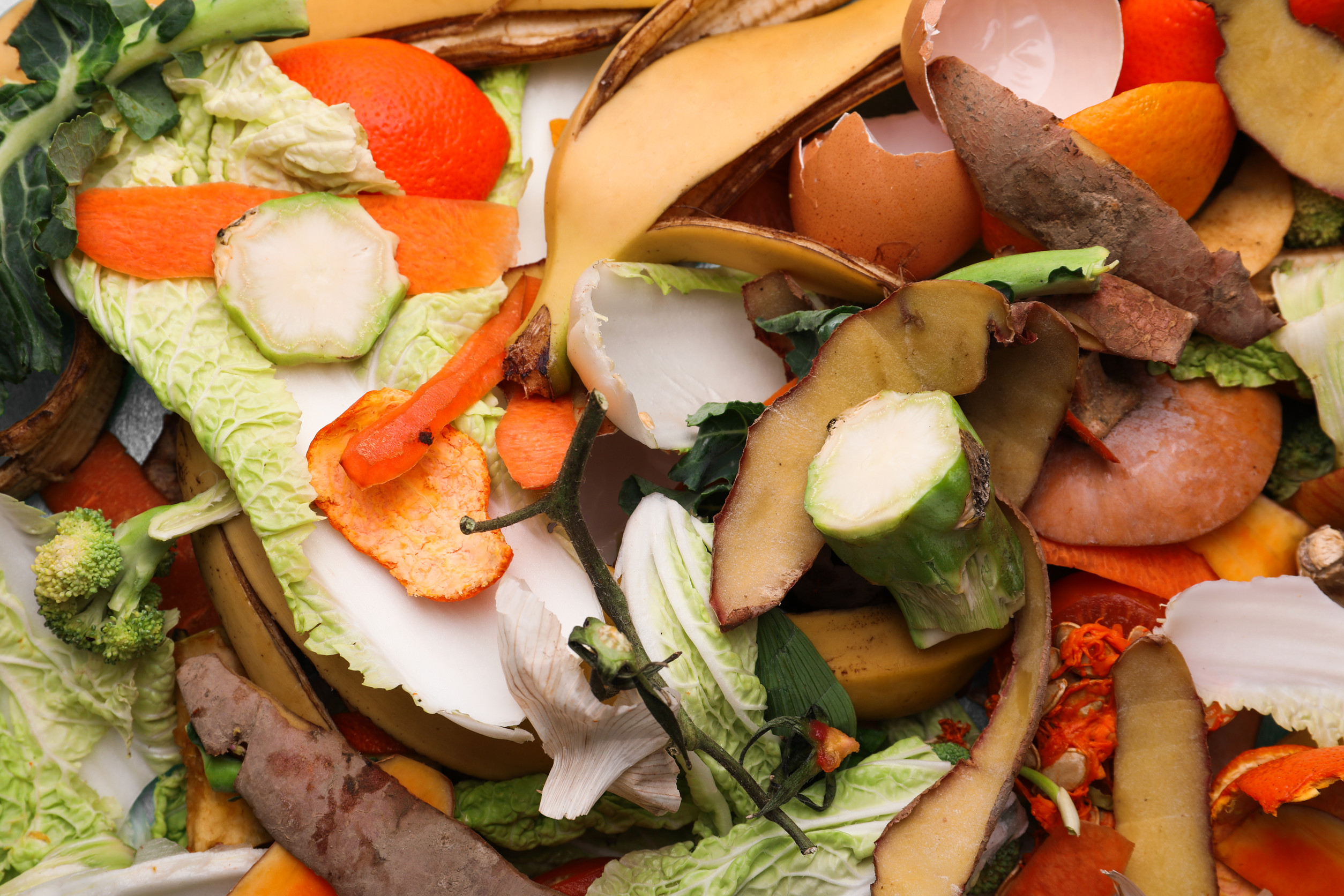 You can use grocery scraps to grow a second harvest.