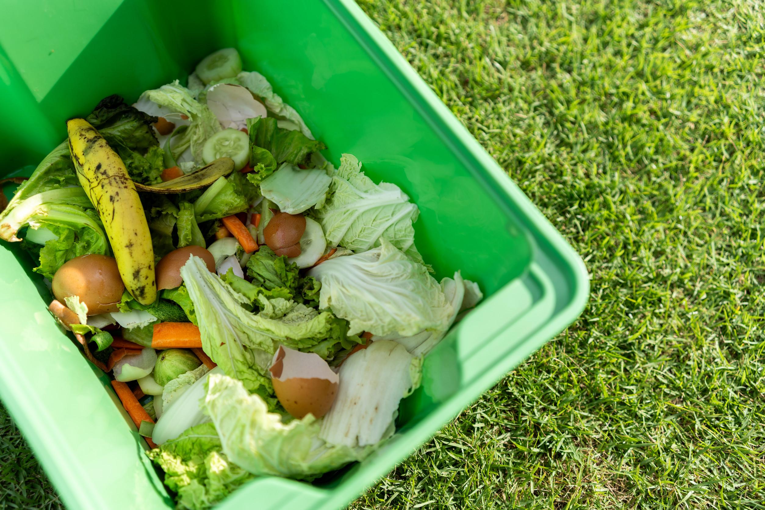 There is a secret ingredient that makes compost work twice as fast. 