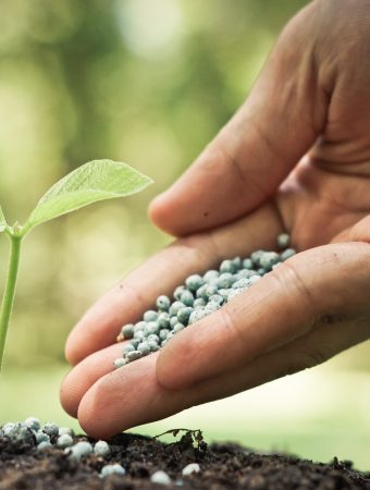 natural fertilizer