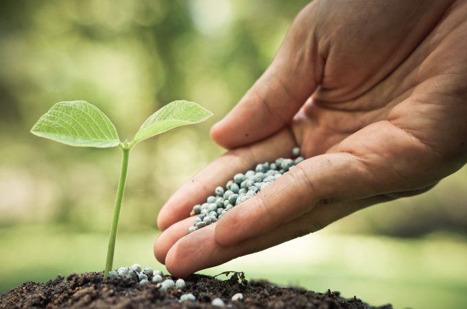 natural fertilizer