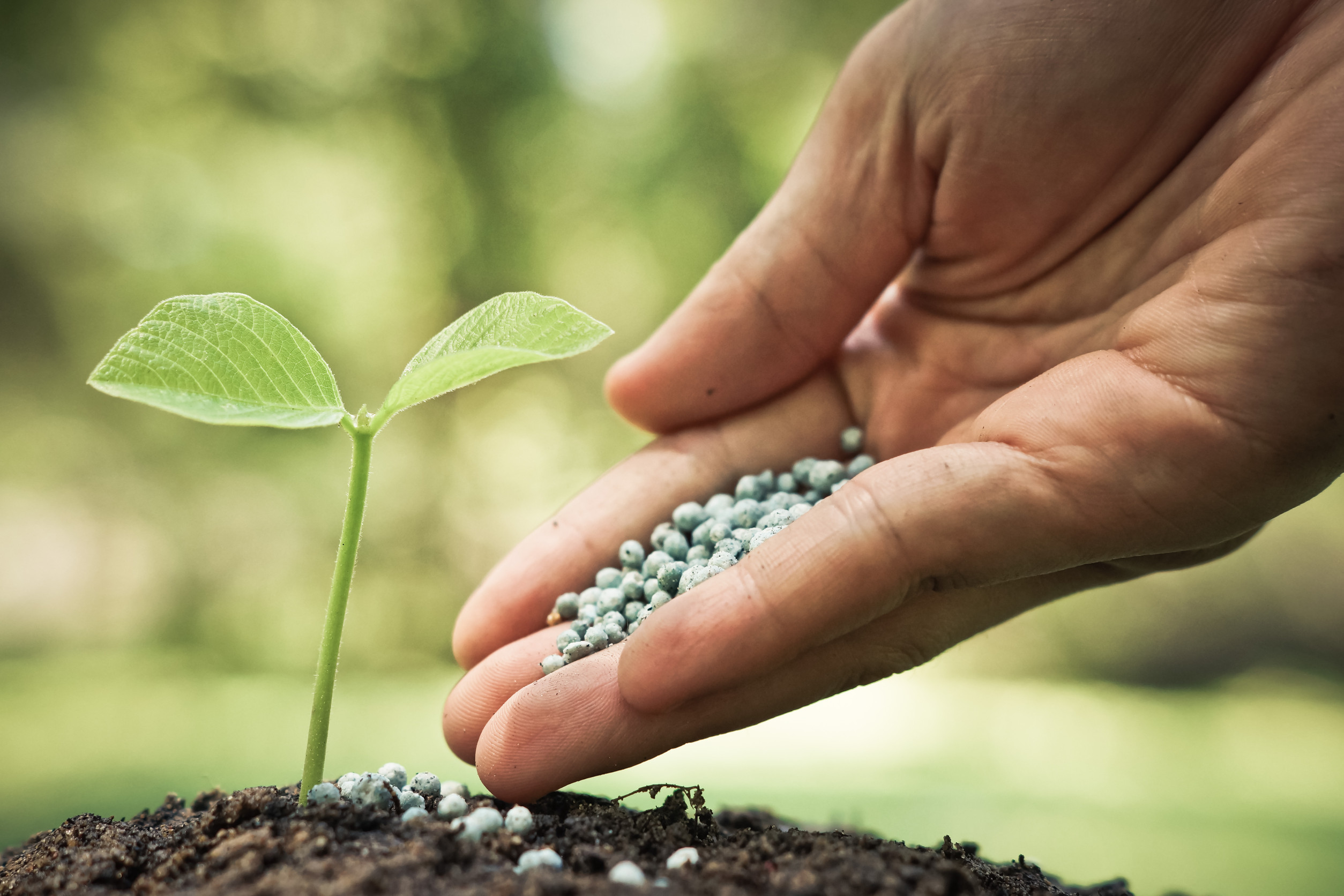 natural fertilizer
