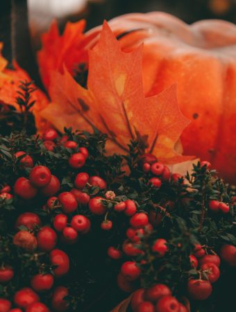 There is science behind fall color changes in plants.