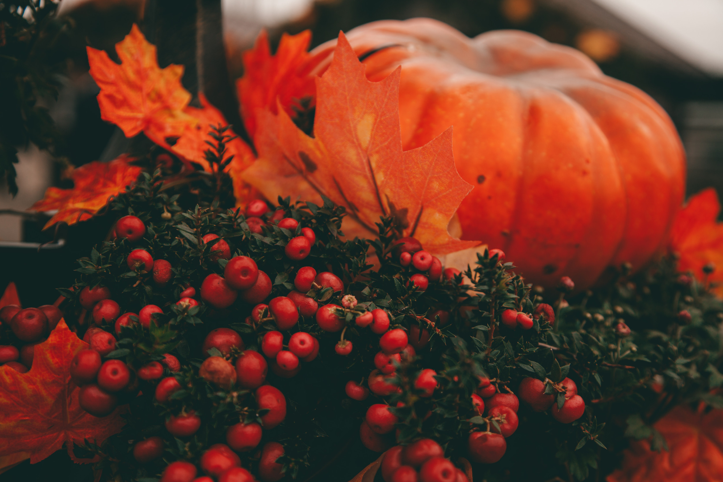 There is science behind fall color changes in plants. 