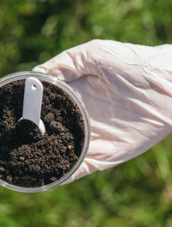 Soil testing in Fall saves money in Spring.