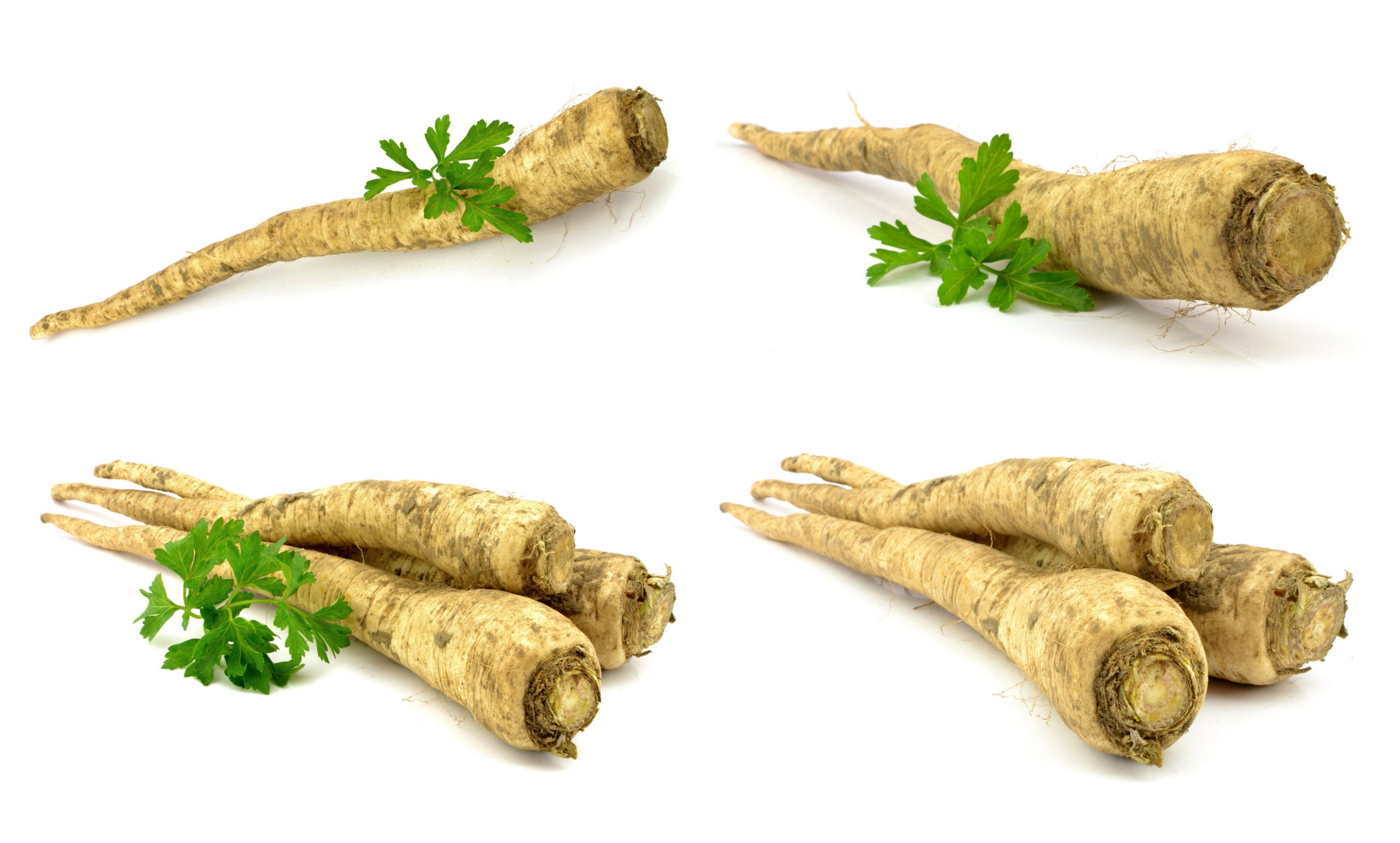 Some herbs thrive in cooler temperatures. 