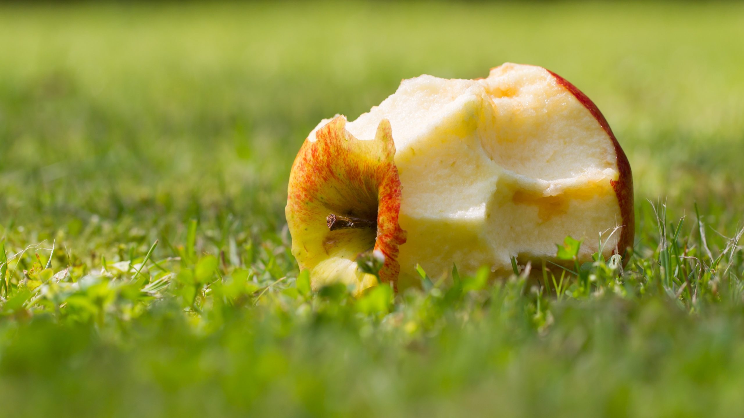 Some composting tricks only work in Autumn.