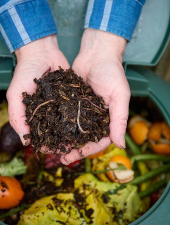 Some composting tricks only work in Autumn.