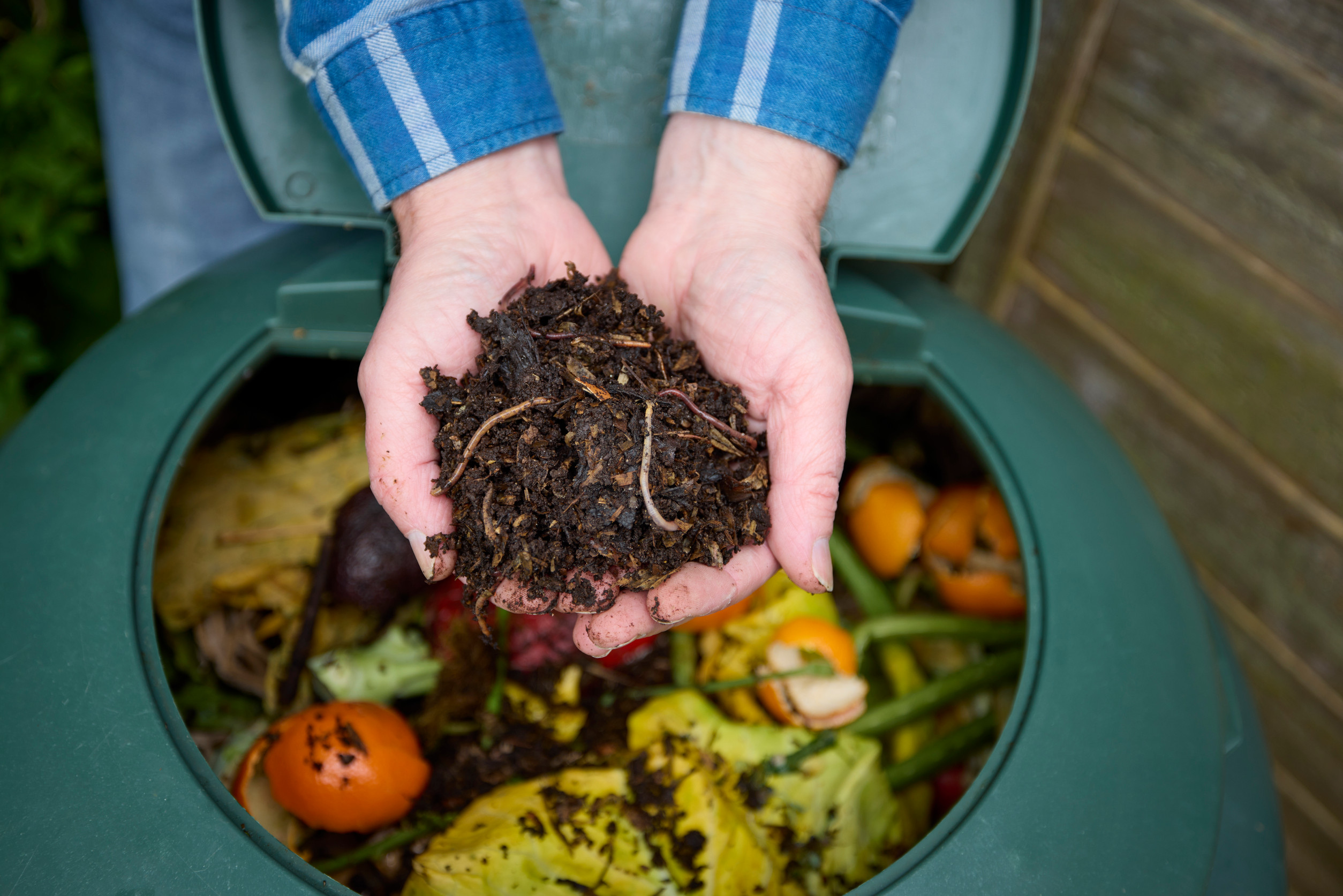 Some composting tricks only work in Autumn.