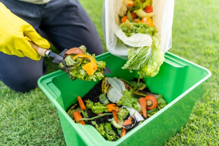 Some compost ingredients break down faster in the fall.