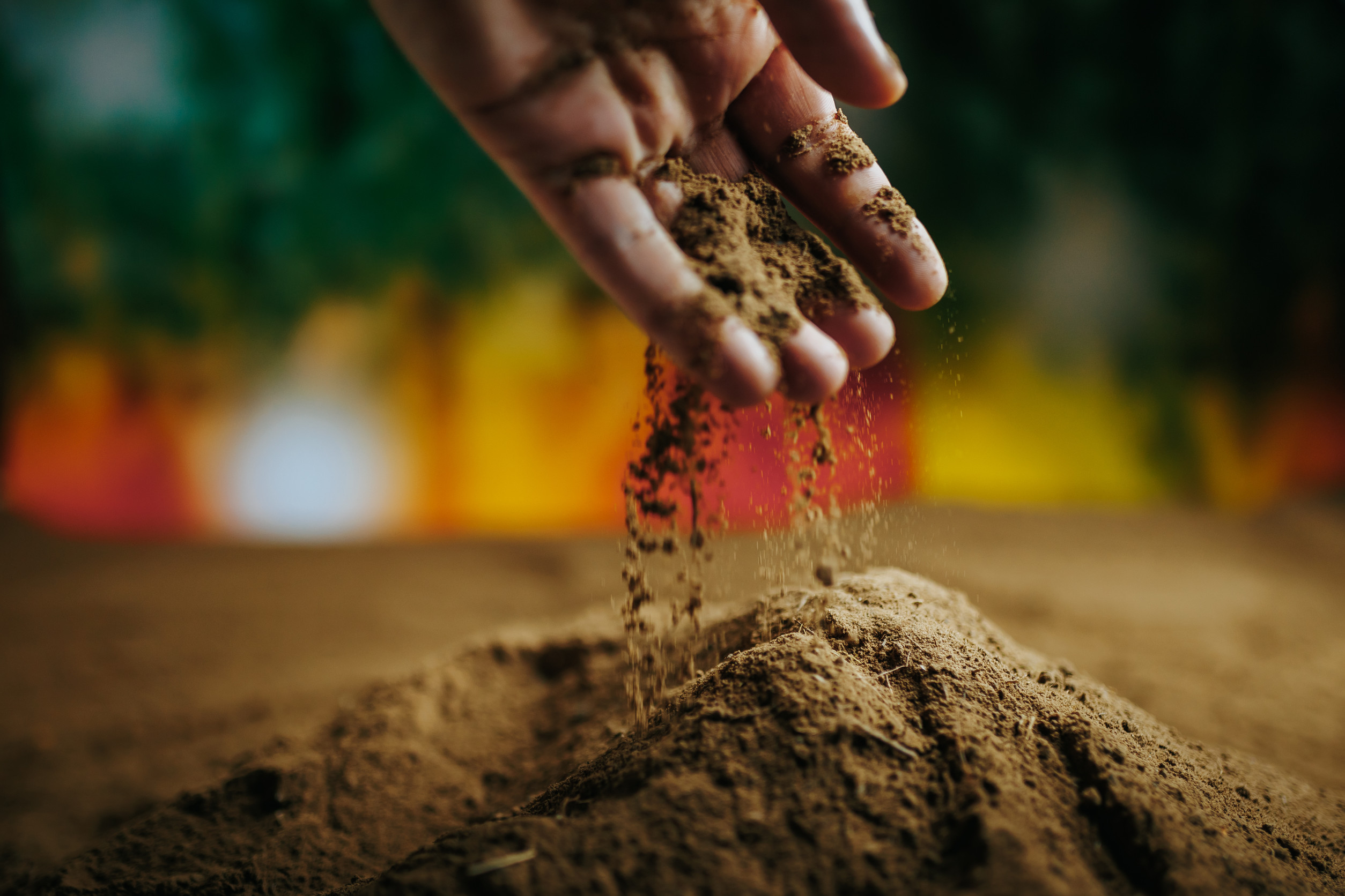 Soil testing in Fall saves money in Spring.