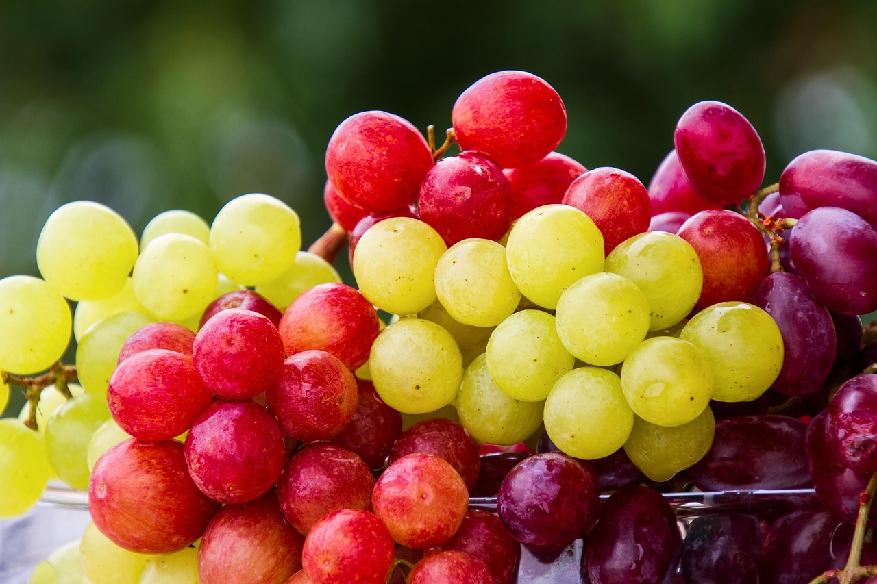 There Are Fruits to Harvest Before the Birds Do