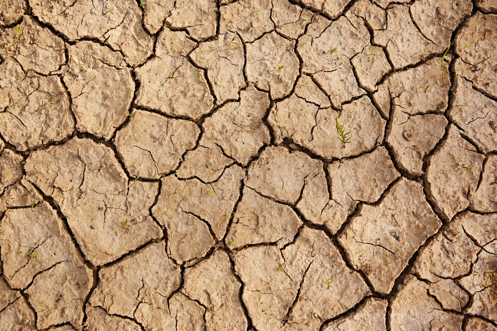 Clay Soil Behaves Differently in Fall