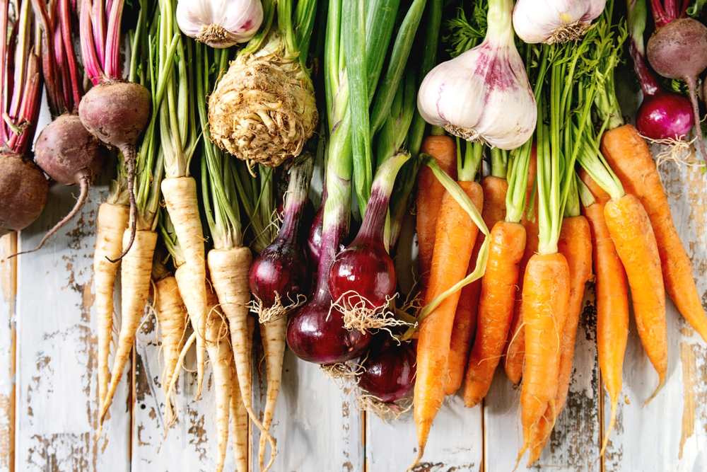 Root vegetables store nutrients differently in autumn