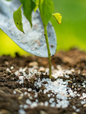 You Should Rethink Fall Fertilizer Applications