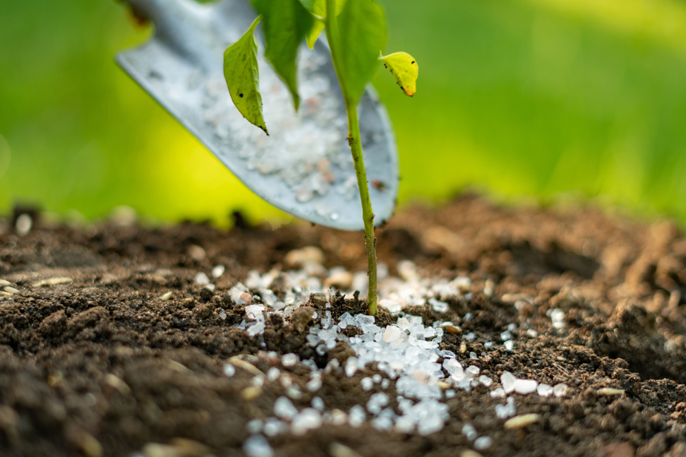 You Should Rethink Fall Fertilizer Applications