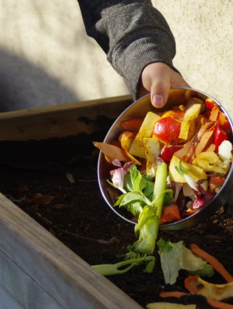 Compost Smells Different in Autumn