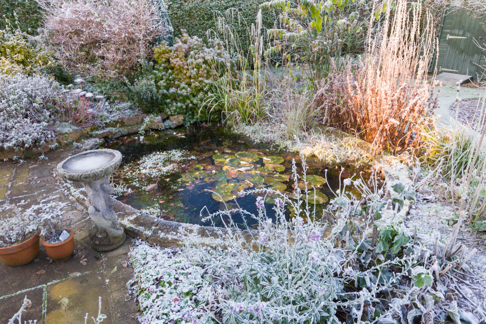 You can identify frost pockets in your yard