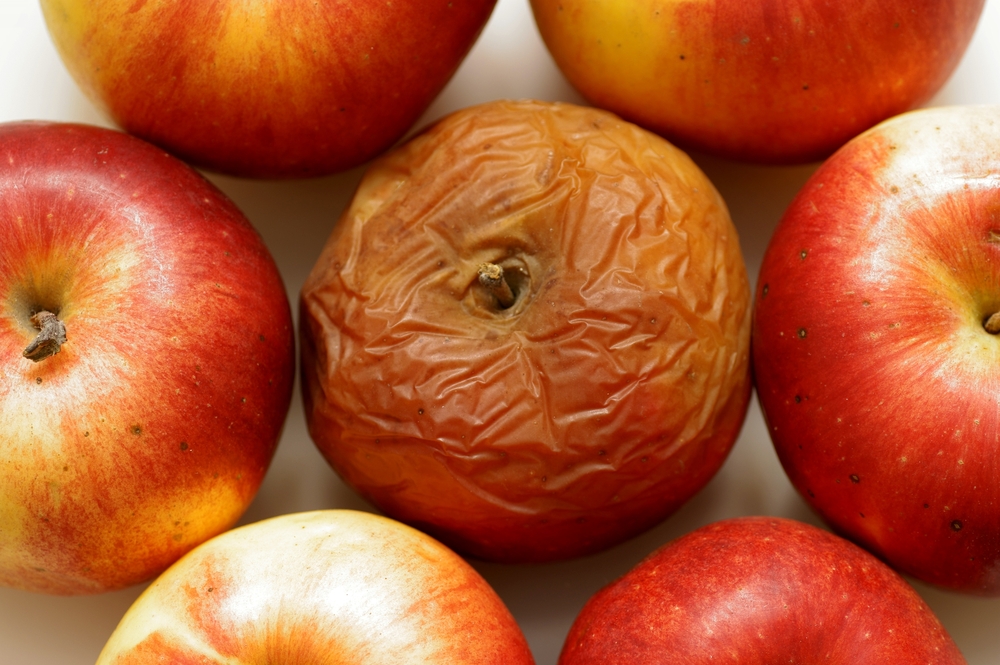 Some gardeners make mistakes while storing produce.